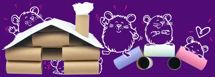 DIY hamster house & toys: easy ideas for happy hamsters